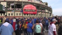 Chicago Cubs Host First World Series Games in 71 Years