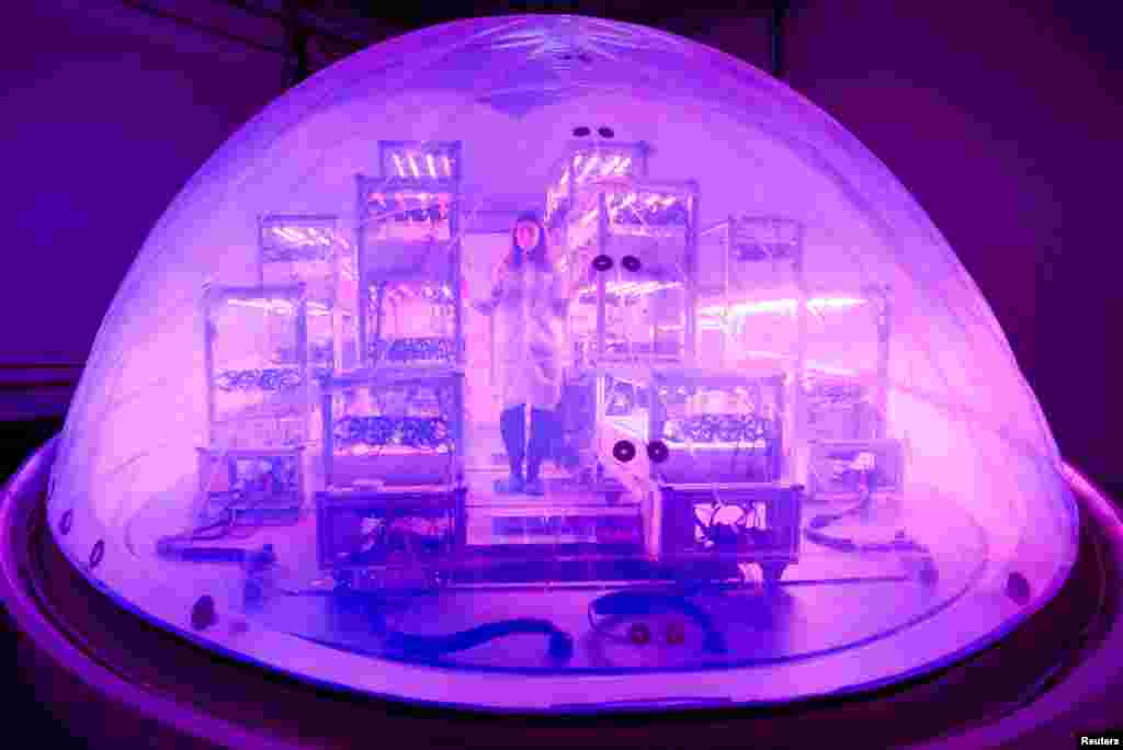 Interstellar Lab founder and CEO Barbara Belvisi poses inside a BioPod module, a high-tech greenhouse controlled by artificial intelligence designed to grow plants and develop agriculture, to fight against climate change and in preparation for future life on Mars, at Interstellar Lab in Ivry-sur-Seine near Paris, France, Nov. 27, 2023.&nbsp;