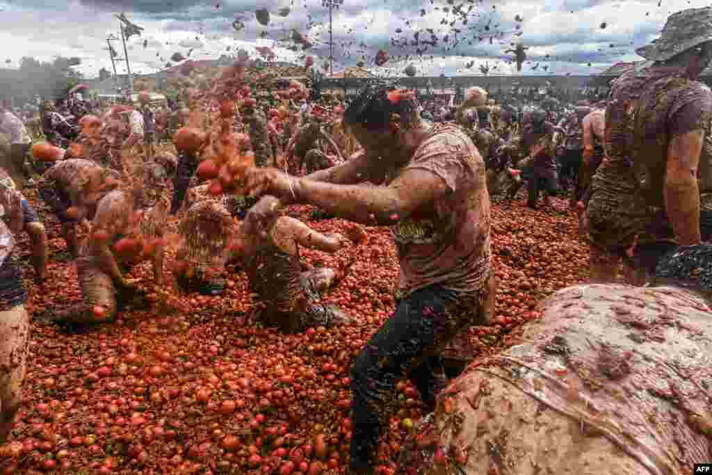 People participate in the tenth annual Tomato Fight Festival, known as "Tomatina", in Sutamarchan, Boyaca Department, Colombia, June 11, 2023. 