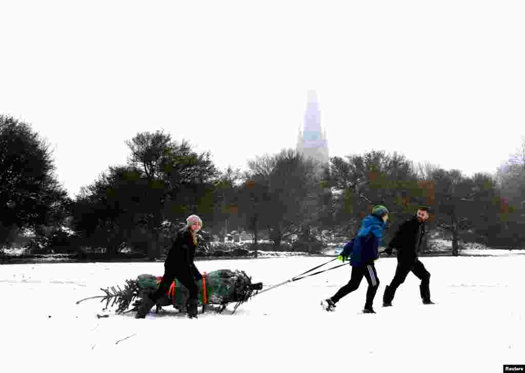 A family pulls&nbsp; a Christmas tree on a sledge through the village of Keele, Staffordshire, Britain.