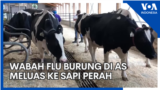 YT Thumb - Liputan BERITA/EKONOMI/TEKNO - Liputan BERITA