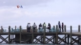 Perubahan Iklim Ikut Tingkatkan Serangan Hiu?
