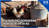 YT Thumb - Liputan BERITA/EKONOMI/TEKNO - Liputan BERITA