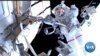 Peace in Space Despite War on Earth