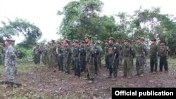  တအာင်း (ပလောင်) အမျိုးသားလွတ်မြောက်ရေး တပ်မတော် (TNLA)