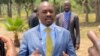 UMnu. Nelson Chamisa