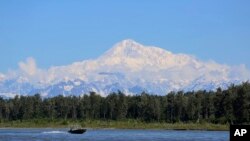Alaska eyaletindeki Denali Dağı, Başkan Trump'ın talimatıyla eski adı olan McKinley olarak yeniden adlandırılacak.