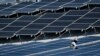 FILE - A worker installs solar panels on a roof at Van Nuys Airport in Los Angeles, California, Aug. 8, 2019.