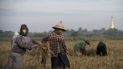 http://d2bx1imge2jl4v.cloudfront.net/MediaAssets2/burmese/2011_02/11-29-10_ECON-_TOURISM_INDUSTRY_IN_BURMA_ALO.mp3