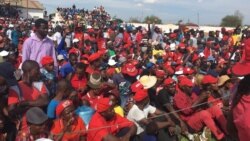 Udaba Esilethulelwe NguAlbert Ncube