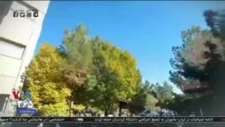 اخبار شبانگاهی