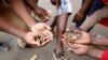 Inhlamvu ezasetshenziswa ngamasotsha eHarare ...
