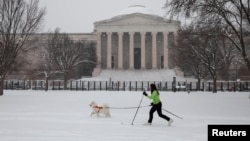 FILE - A woman goes skiing with a dog near the National Gallery of Art, as a winter storm that brought snow, ice and freezing temperatures to a broad swath of the U.S. arrived in Washington, Jan. 6, 2025.