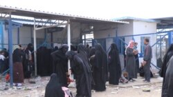 al-hol camp