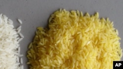 It's makers argue that vitamin A-enriched rice could prevent blindness in children.