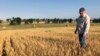 FILE - Farmer John Weinand surveys a wheat field near Beulah, North Dakota, that should be twice as tall as it is, July 13, 2017.
