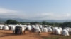 Namii Itoophiyaa dhiyoo Jubuutii baqate 4,000 oli hagii guddaan Oromoo. Warrii Oromiyaa gama Kibbaattii baqate kaan hoo maan keessa jira?