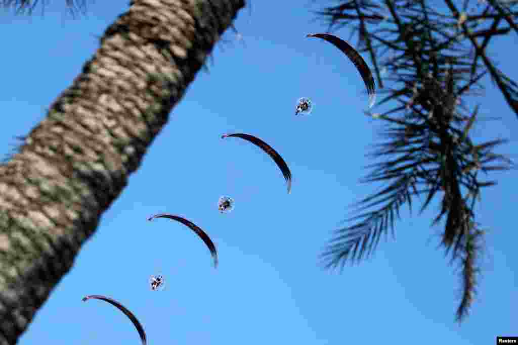 ទាហានប៉ារ៉ាពីកងកម្លាំងប្រដាប់អាវុធ Qatari ចូលរួមក្នុងពិធិបុណ្យជាតិ Qatar ក្នុងទីក្រុង Doha។