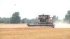 US Wheat Production Lowest in Recorded History