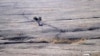 FILE - Tracks made by sheep can be seen in a drought-affected paddock on a farm in central New South Wales, Australia, Sept. 17, 2018.