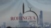 Rohingya Refugees Push U.S. Lawmakers to Act
