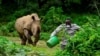 FILE - Steven Busulwa, an animal keeper, runs away from a charging rhino at the Uganda Wildlife Conservation Education Center in Wakiso district, in Entebbe.