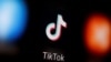 French families sue TikTok over alleged failure to remove harmful content