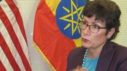 አብ ኢትዮጵያ ዝውስኽ ዘሎ ቁጽሪ ተሓጋዛይ ንምርዳእ አሜሪካን መሻርክታን ቅሩባት ምዃኖም ገሊጾም