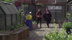 New Community Effort Helping to Feed the Hungry