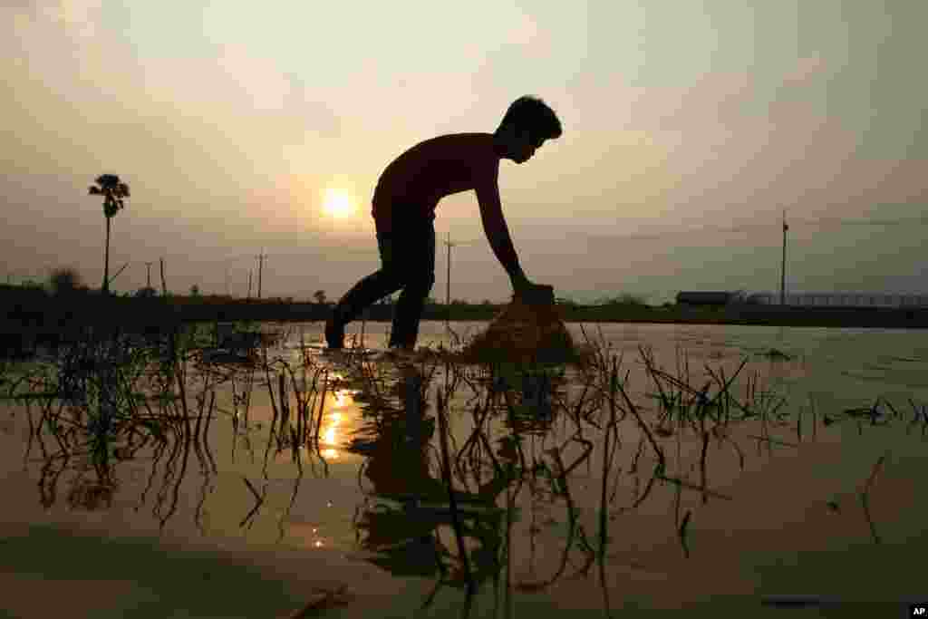 A Cambodian man is silhouetted as he catches fish for his evening meal in Chak Chrouk village, on the outskirts of Phnom Penh, Cambodia.