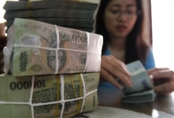 FILE - A woman counts Vietnamese dong bank notes in the office of a local company in Hanoi.