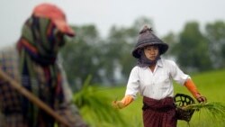 မြန်မာနိုင်ငံ ရေအရင်းအမြစ် အစီအမံ