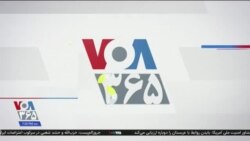 اخبار شامگاهی