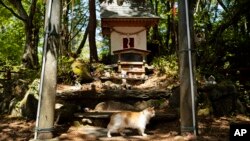Hram na ostrvu Tashirojima
