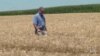 US Farmers Brace for Long Term Impact of Escalating Trade War