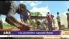 La production d'or à grande vitesse au Zimbabwe