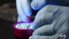 Paintable Solar Cells May Someday Replace Silicon-Based Panels