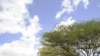 Al-Shabab menace d’attaquer le Kenya