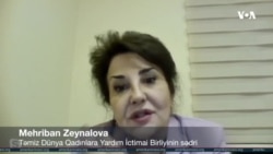Mehriban Zeynalova: Məişət zorakılığı ilə bağlı məlumatlılıq artırılmalıdır
