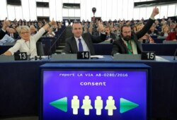 FILE - Members of the European Parliament vote in favor of the Paris climate change agreement during a voting session in Strasbourg, Oct. 4, 2016.