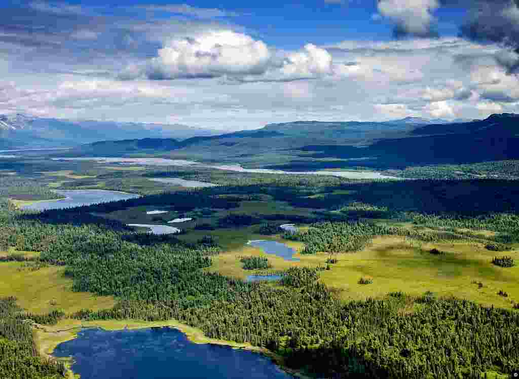 Gunung McKinley atau Denali di Alaska adalah puncak gunung tertinggi di Amerika Utara dengan ketinggian 6.194 meter di atas permukaan laut.