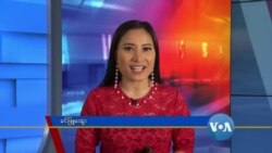 နေ့စဉ် တီဗွီသတင်းလွှာ (၀၁-၁၂-၂၀၂၀)