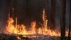 FILE - Flames burn trees at a wildfire near Bodalla, Australia, Jan. 12, 2020. 