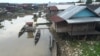 EU Companies Thread Needle in Indonesia Amid Palm Oil Argument