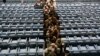 FILE - Participants of a jirga leave an assemply space in Kabul, Afghanistan, Nov. 24, 2013.