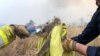Fire and Rescue NSW team give water to a koala as they rescue it from fire in Jacky Bulbin Flat, New South Wales, Australia, Nov. 21, 2019 in this picture obtained from social media.