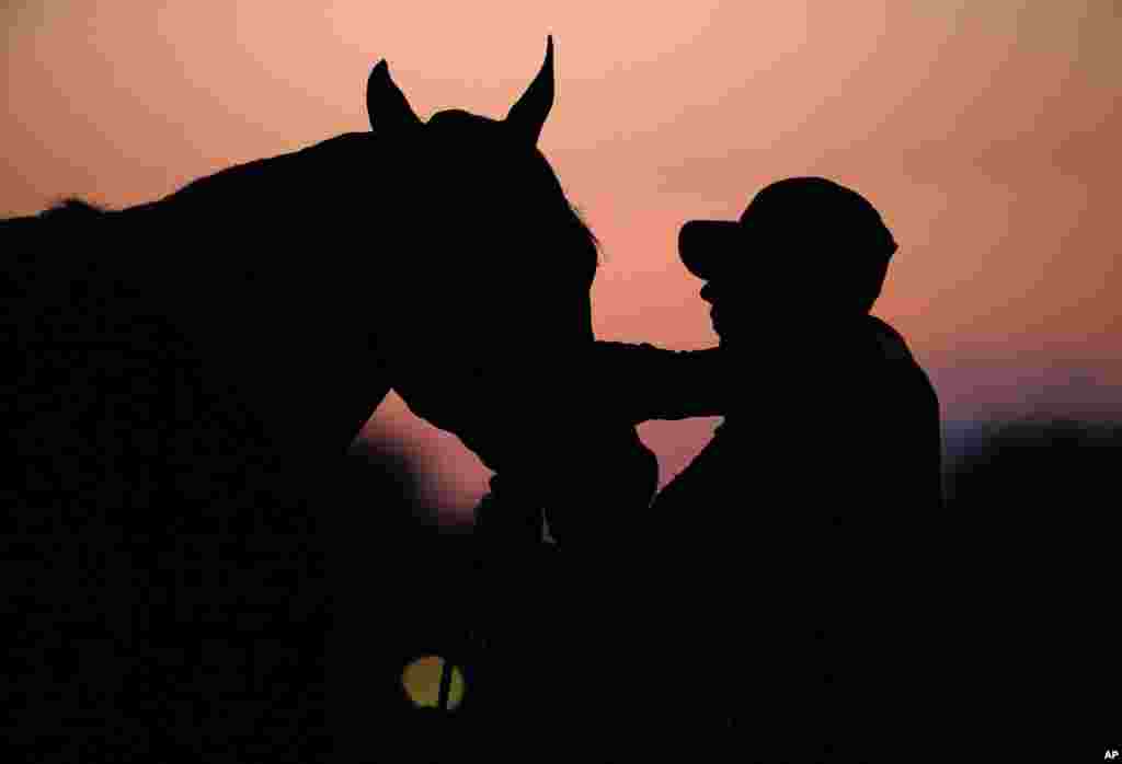 Kentucky Derby entrant Danzing Candy gets a bath after a workout at Churchill Downs in Louisville, Kentucky. The 142nd running of the Kentucky Derby is scheduled for Saturday, May 7.