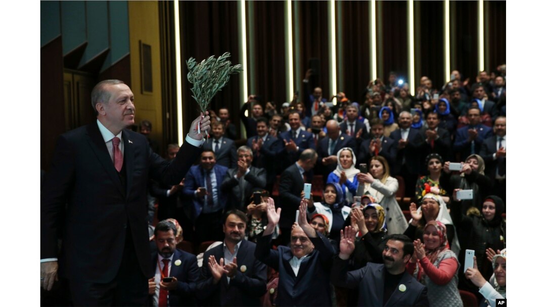 Turkey's President Recep Tayyip Erdogan, holding an olive branch arrives to deliver a speech at an event in Ankara, Turkey, February 20, 2018.