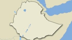 የደቡብ ክልልን ጉዳይ ጥናት ያካሄደው ገለልተኛ ቡድን መግለጫ