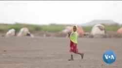 ከምሽቱ 3:00 የአማርኛ ዜና